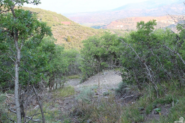 1421 S Beaver Bench E Unit 1421, Heber City, UT 84032