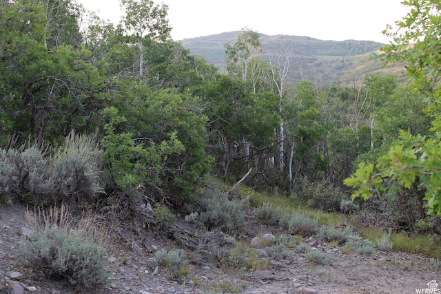 1421 S Beaver Bench E Unit 1421, Heber City, UT 84032