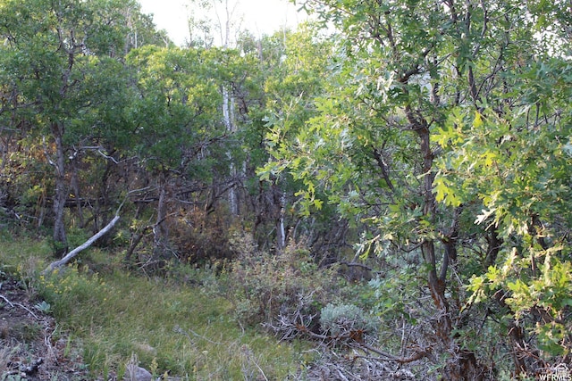 1421 S Beaver Bench E Unit 1421, Heber City, UT 84032