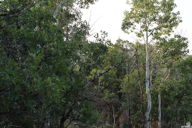 1421 S Beaver Bench E Unit 1421, Heber City, UT 84032