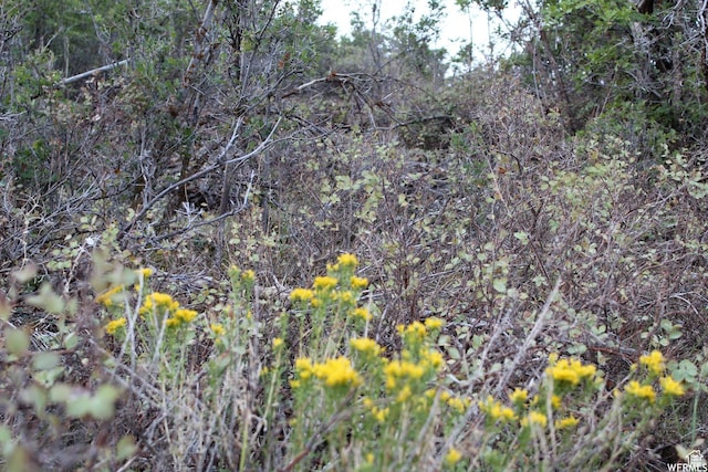 1421 S Beaver Bench E Unit 1421, Heber City, UT 84032