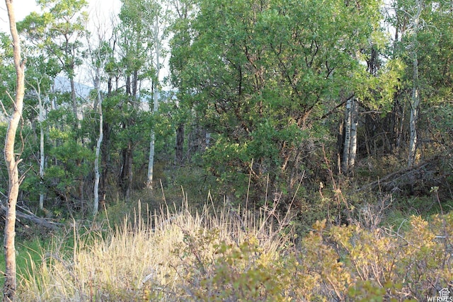 1421 S Beaver Bench E Unit 1421, Heber City, UT 84032