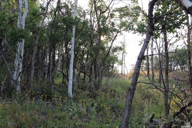 1421 S Beaver Bench E Unit 1421, Heber City, UT 84032