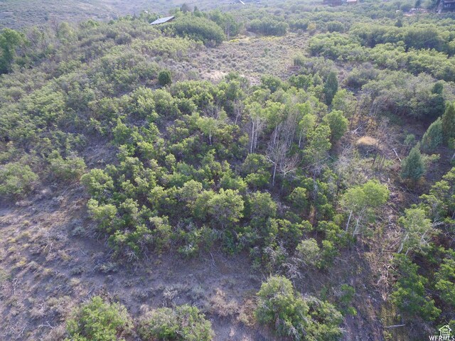 1421 S Beaver Bench E Unit 1421, Heber City, UT 84032