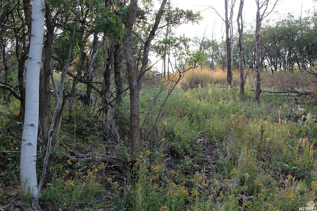 1421 S Beaver Bench E Unit 1421, Heber City, UT 84032