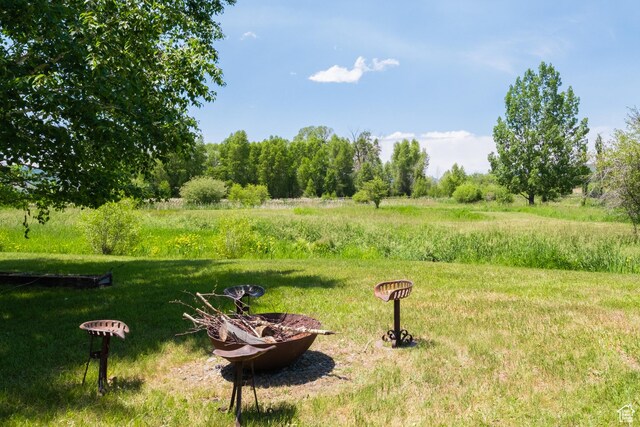 4445 N Millrace Rd, Oakley, UT 84055 - view of yard