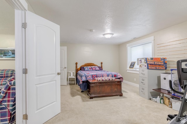 169 W 100 N, Wellsville, UT 84339 - photo 43