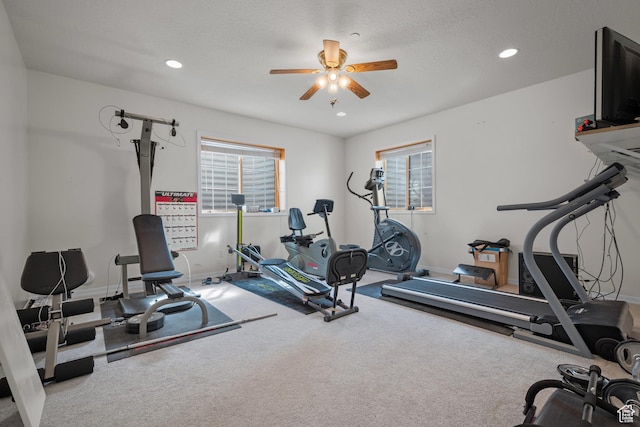 11508 S 5825 W, Payson, UT 84651 - exercise area featuring a ceiling fan, healthy amount of natural light, recessed lighting, and carpet