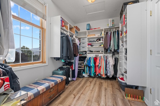 11508 S 5825 W, Payson, UT 84651 - spacious closet with attic access and light wood-style flooring