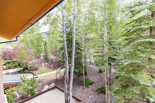 3720 N Sundial Ct Unit B322, Park City, UT 84098 - view of yard