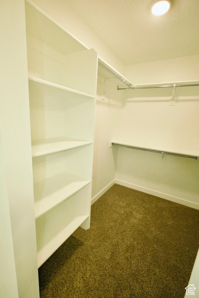 6669 W Skip Rock Rd, South Jordan, UT 84009 - walk in closet with dark colored carpet