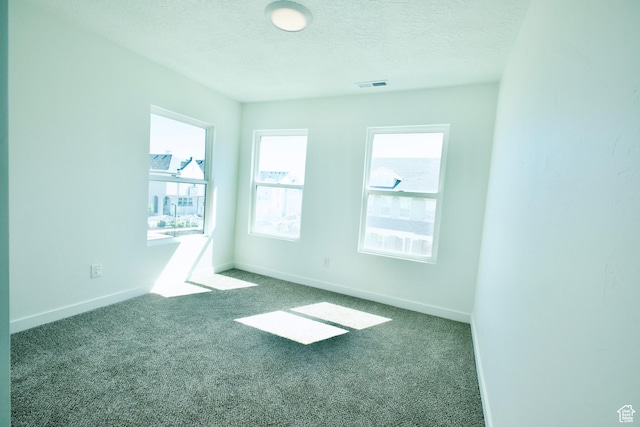 6669 W Skip Rock Rd, South Jordan, UT 84009 - empty room featuring carpet flooring, healthy amount of natural light, and a textured ceiling