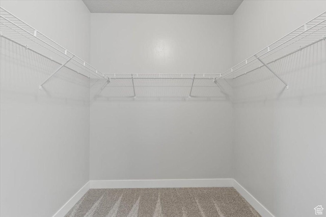 1806 W Newcastle Ln Unit 203, Saratoga Springs, UT 84045 - walk in closet with carpet