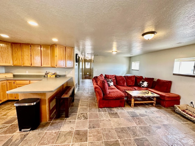 280 W Center St, Sterling, UT 84665 - living area with a textured ceiling and recessed lighting