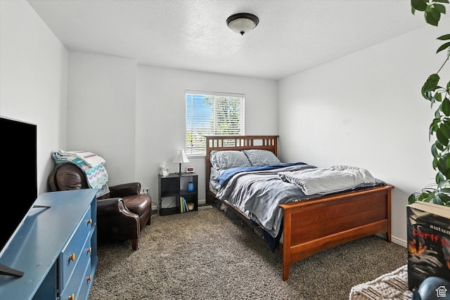 487 W 1490 N Unit 106, Logan, UT 84341 - bedroom with carpet