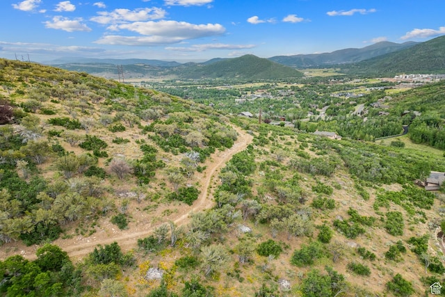 2260 Bear Hollow Dr, Park City, UT 84098 - photo 111