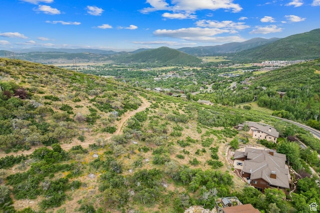 2260 Bear Hollow Dr, Park City, UT 84098 - photo 110