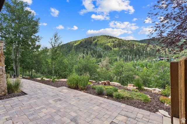 2260 Bear Hollow Dr, Park City, UT 84098 - photo 101