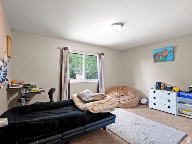 5268 W Westslope Dr, Salt Lake City, UT 84118 - photo 11