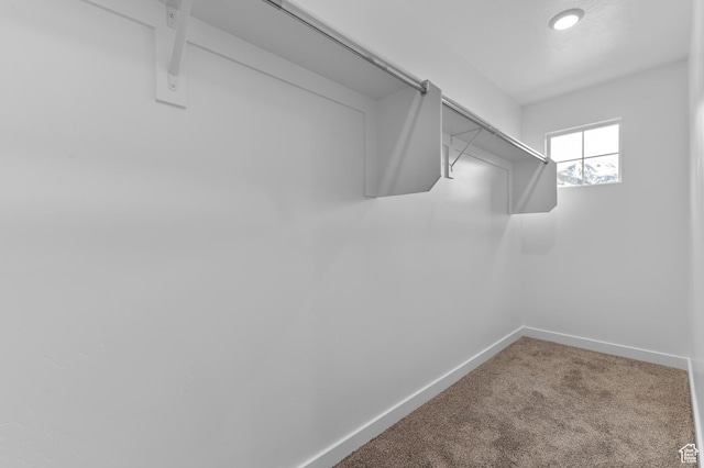 1519 E 690 N Unit 1111, Salem, UT 84653 - photo 12