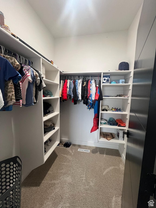 420 W 350 N, Gunnison, UT 84634 - spacious closet featuring carpet