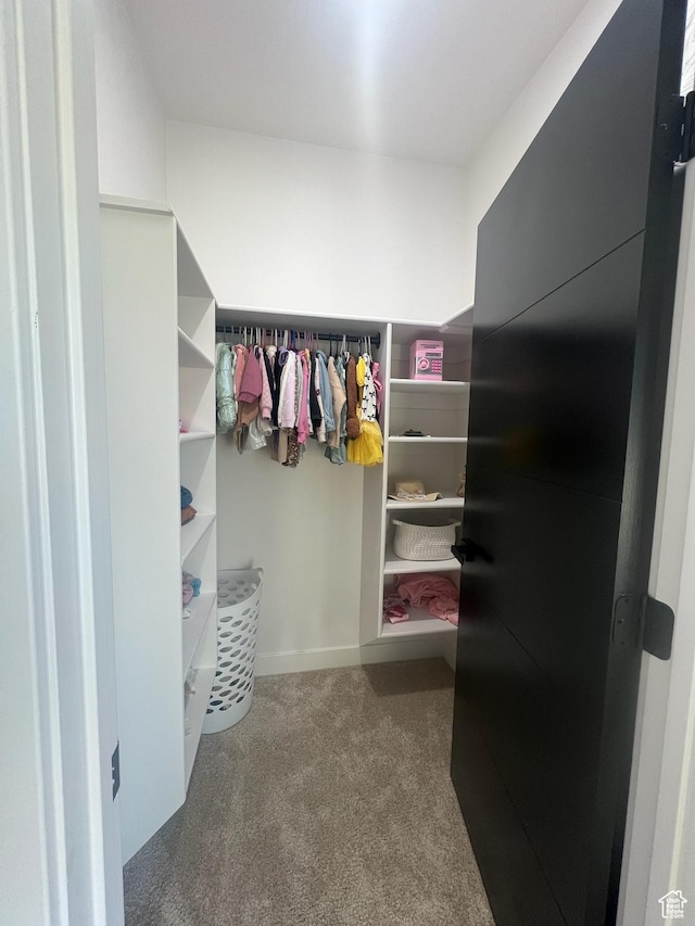 420 W 350 N, Gunnison, UT 84634 - walk in closet with carpet floors