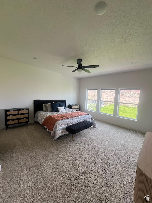 420 W 350 N, Gunnison, UT 84634 - bedroom featuring carpet flooring and ceiling fan