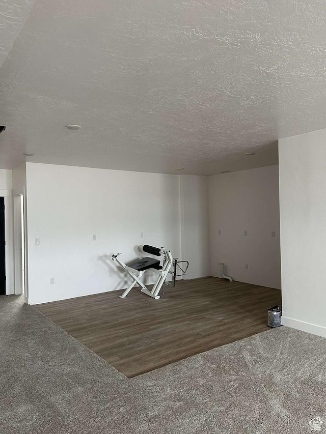 420 W 350 N, Gunnison, UT 84634 - carpeted empty room featuring a textured ceiling and wood finished floors