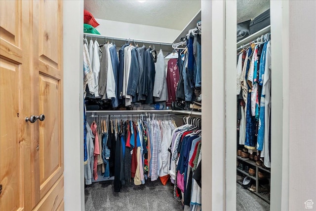 2602 W 11625 S, Riverton, UT 84095 - walk in closet featuring carpet