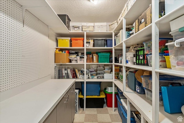 2602 W 11625 S, Riverton, UT 84095 - view of storage