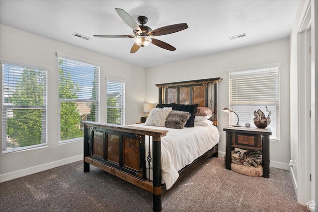 10848 S Tahoe Way S, Jordan, UT 84009 - carpeted bedroom with multiple windows and a ceiling fan