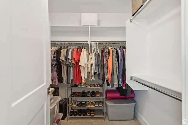 910 W 800 N, Tremonton, UT 84337 - walk in closet with carpet flooring