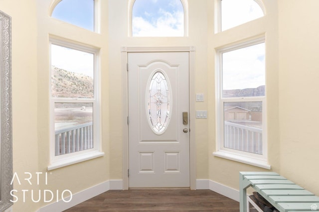 785 N Homestead St, Hildale, UT 84784 - foyer entrance with dark wood-type flooring, a mountain view, and a high ceiling
