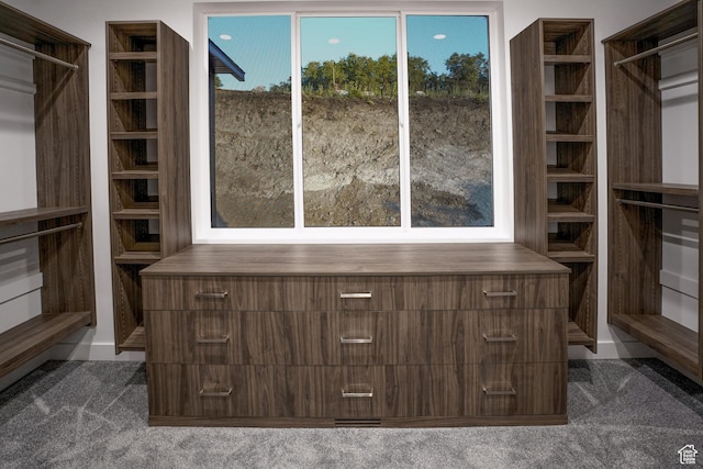 9281 E Rdg Pine Dr, Heber City, UT 84032 - view of spacious closet