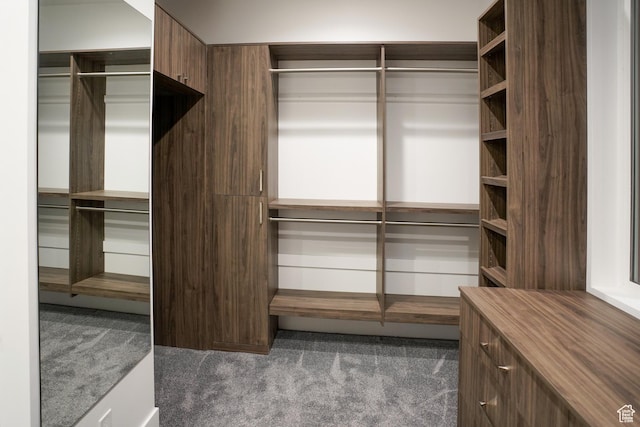 9281 E Rdg Pine Dr, Heber City, UT 84032 - walk in closet with carpet floors
