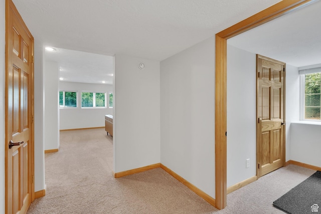 1719 Clyde Lake Dr Unit 346, Heber City, UT 84032 - corridor featuring light colored carpet and baseboards