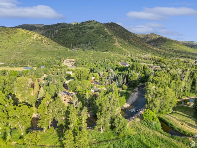 1400 Weber Wild Rd, Oakley, UT 84055 - mountain view