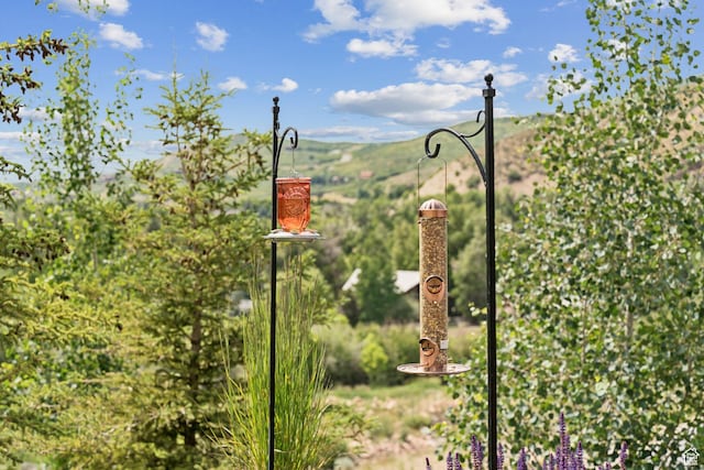 1400 Weber Wild Rd, Oakley, UT 84055 - exterior view