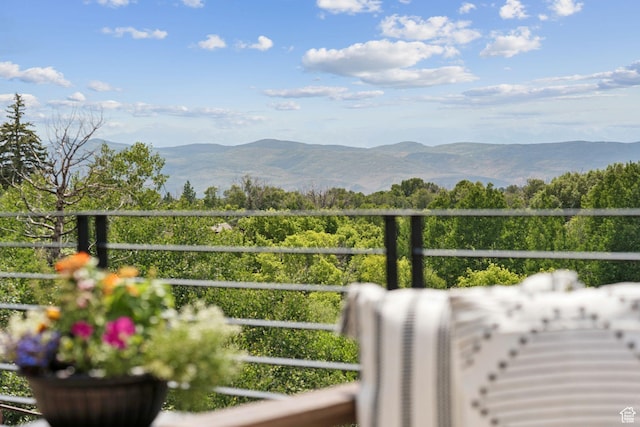 1400 Weber Wild Rd, Oakley, UT 84055 - mountain view