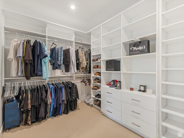 5796 N Valley View Rd, Lehi, UT 84043 - spacious closet featuring carpet flooring