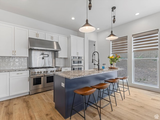 5796 N Valley View Rd, Lehi, UT 84043 - kitchen with stainless steel appliances, under cabinet range hood, white cabinetry, tasteful backsplash, and light wood-style flooring