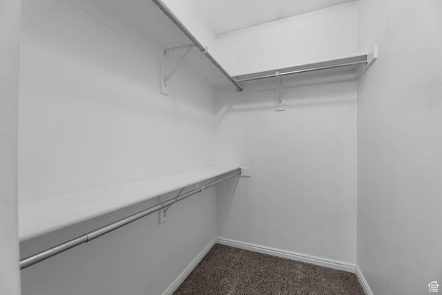 3152 W Davencourt Loop, Lehi, UT 84043 - walk in closet with dark colored carpet