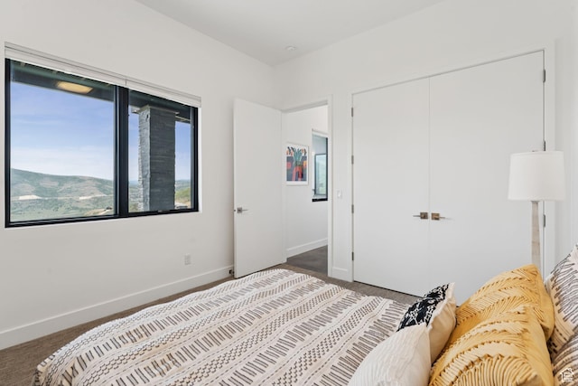 11515 N White Tail Ct, Hideout, UT 84036 - bedroom featuring carpet and a closet