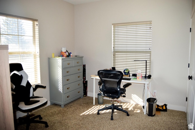 2070 S Sweetwater Parkway Park E Unit 33, Garden City, UT 84028 - home office with carpet flooring and baseboards