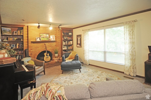 136 E 700 S, Farmington, UT 84025 - carpeted living room with a textured ceiling, track lighting, and built in features