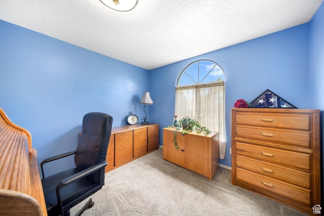 5149 W Village Wood Dr, West Valley City, UT 84120 - office with carpet floors and a textured ceiling