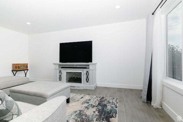 659 S Lakeside Dr, Franklin, ID 83237 - living room featuring wood finished floors, recessed lighting, and a fireplace
