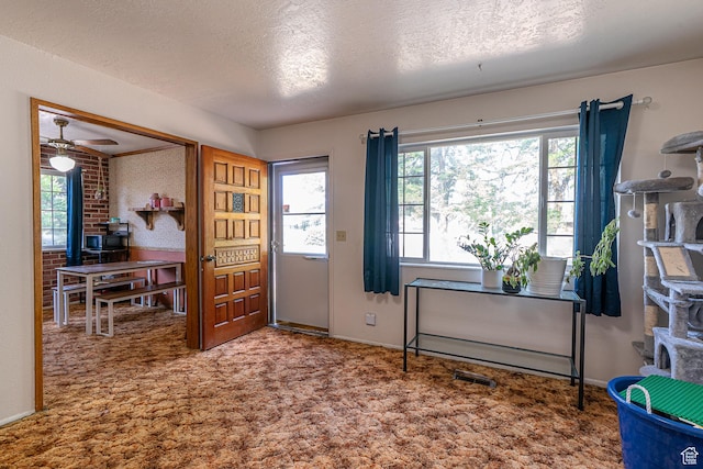 570 N 400 W, Logan, UT 84321 - entryway with plenty of natural light, a textured ceiling, carpet, and ceiling fan