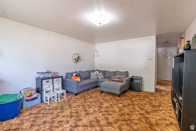 570 N 400 W, Logan, UT 84321 - carpeted living room featuring a textured ceiling