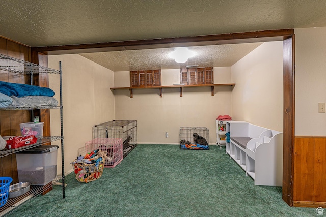 570 N 400 W, Logan, UT 84321 - finished below grade area featuring carpet flooring and a textured ceiling